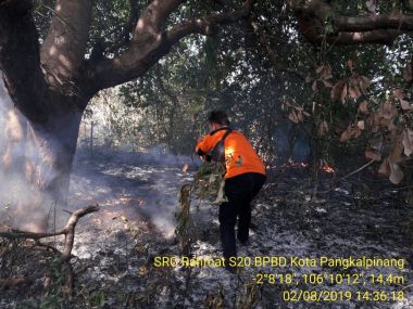 Kebakaran Hutan dan Lahan (Karhutla) Menghanguskan Lahan di Kawasan Tanjung Bunga