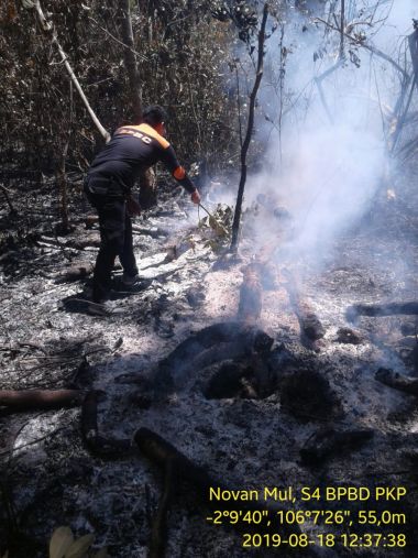 BPBD KOTA PANGKALPINANG BANTU PADAMKAN KEBAKARAN HUTAN DAN LAHAN DI JALAN TAIB