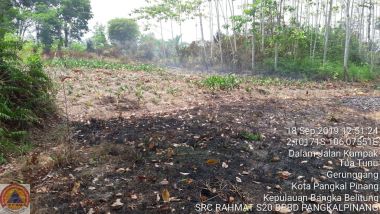 KEBAKARAN HUTAN DAN LAHAN DI JALAN KAMPAK, KELURAHAN TUA TUNU INDAH