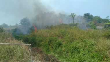 ANGGOTA BPBD KOTA PANGKALPINANG BANTU PADAMKAN KEBAKARAN HUTAN DAN LAHAN DI KELURAHAN MANGKOL
