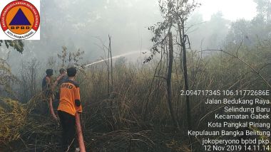 Dalam Satu Hari, 3 kejadian Kebakaran Hutan dan Lahan Melanda Kota Pangkalpinang