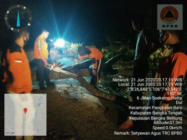 BPBD KOTA PANGKALPINANG MENGEVAKUASI POHON TUMBANG YANG MENUTUP AKSES JALAN