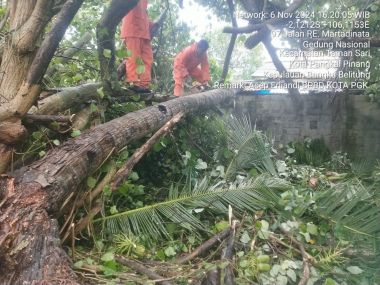 LAPORAN BENCANA/KEJADIAN Atap Rumah roboh tertimpah pohon tumbang  DIKOTA PANGKALPINANG